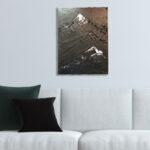 edition fine art print